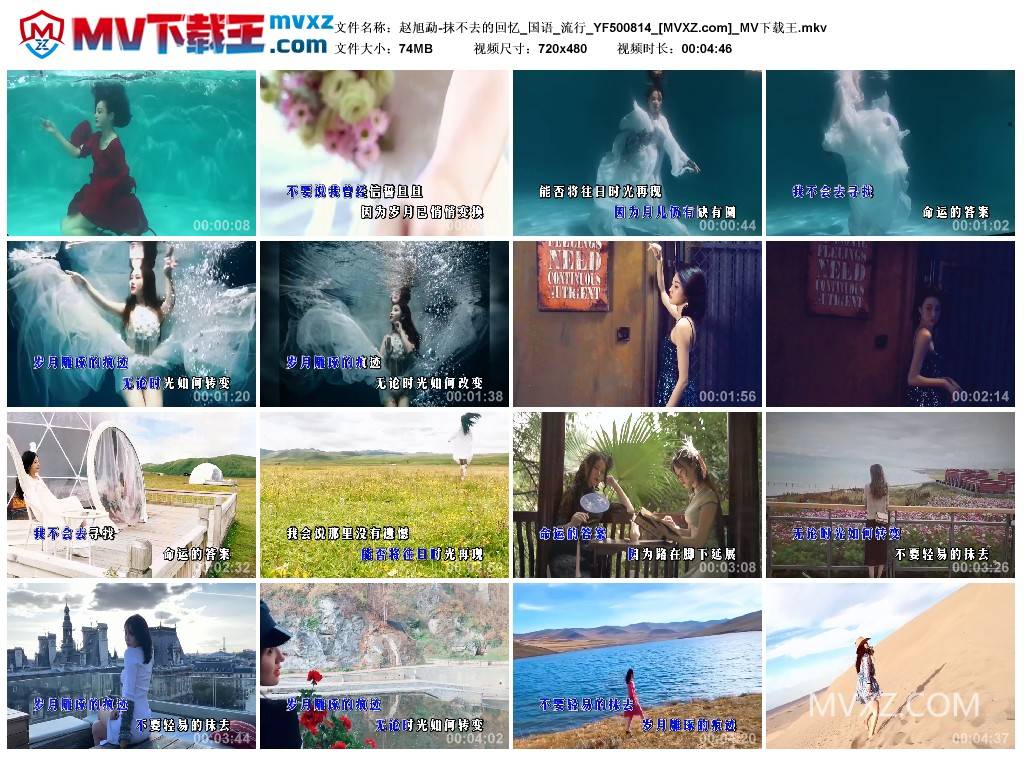 赵旭勐-抹不去的回忆_国语_流行_YF500814